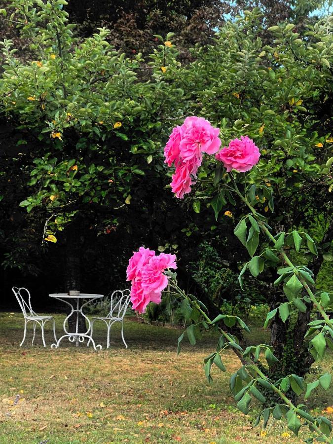 L'Escale Chambres Et Table D'Hotes Verdun-sur-le-Doubs Ngoại thất bức ảnh